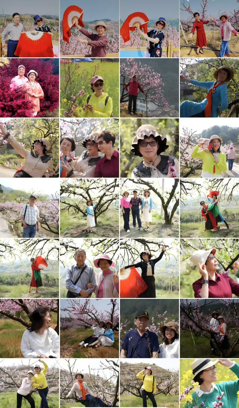 2 拼图:人面桃花相映红,多姿多彩舞春风。何建仁等先生摄影(1).png